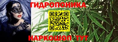 гашик Рязань