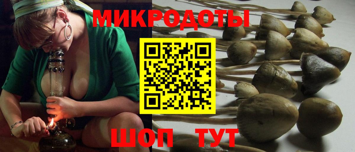 Галлюциногенные грибы Psilocybine cubensis  Галлюциногенные грибы Psilocybe  Новочеркасск  Вход с VPN 
